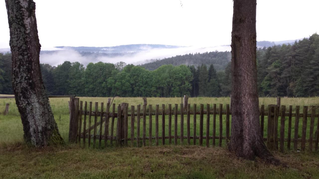 Ellernhof Im Spessart Villa Stadtprozelten Cameră foto