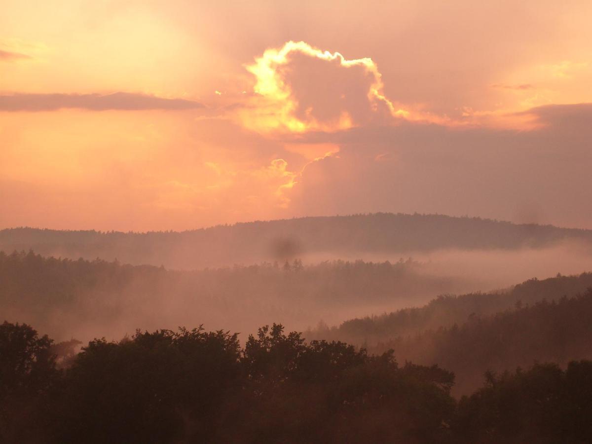 Ellernhof Im Spessart Villa Stadtprozelten Cameră foto